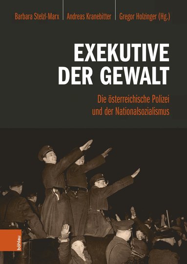 bokomslag Exekutive der Gewalt