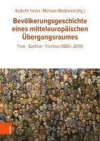 bokomslag Bevolkerungsgeschichte Eines Mitteleuropaischen Ubergangsraumes: Tirol - Sudtirol - Trentino (1880-2010)