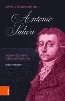 bokomslag Antonio Salieri: Neuentdeckung Eines Verkannten. Ein Lesebuch