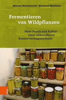 bokomslag Fermentieren von Wildpflanzen