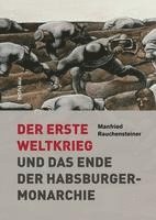 bokomslag Der Erste Weltkrieg: Und Das Ende Der Habsburgermonarchie 1914-1918