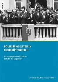 bokomslag Politische Eliten in Niedersterreich