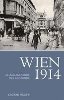 bokomslag Wien 1914: Alltag Am Rande Des Abgrunds