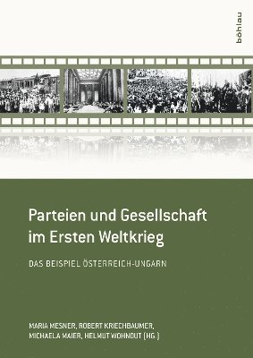 Maria Mesner, Robert Kriechbaumer, Michaela Maier, Helmut Wohnout - Parteien und Gesellschaft im Ersten Weltkrieg, Häftad