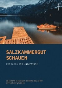 bokomslag Salzkammergut schauen