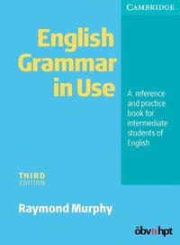 bokomslag English Grammar in Use Without Answers
