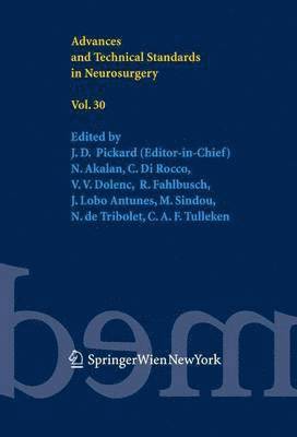 bokomslag Advances and Technical Standards in Neurosurgery Vol. 30
