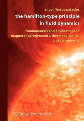 bokomslag The Hamilton-Type Principle in Fluid Dynamics