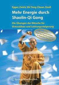 bokomslag Mehr Energie durch Shaolin-Qi Gong