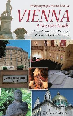bokomslag Vienna - A Doctor's Guide