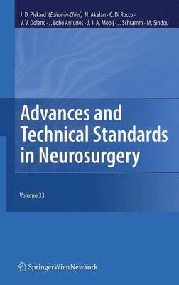 bokomslag Advances and Technical Standards in Neurosurgery, Vol. 33