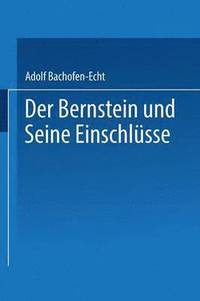 bokomslag Der Bernstein und Seine Einschlsse