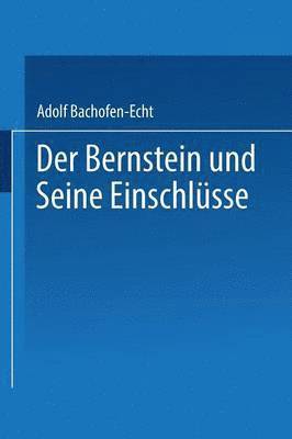 bokomslag Der Bernstein und Seine Einschlsse