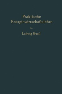 bokomslag Praktische Energiewirtschaftslehre