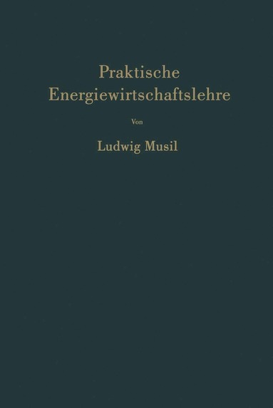 bokomslag Praktische Energiewirtschaftslehre