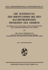 bokomslag Die Schädigung des Hirnstammes bei den Raumfordernden Prozessen des Gehirns