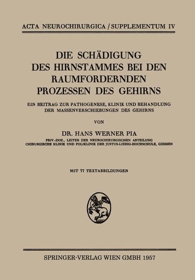 bokomslag Die Schädigung des Hirnstammes bei den Raumfordernden Prozessen des Gehirns