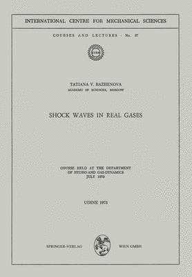 Tatiana V. Bazhenova - Shock Waves in Real Gases, Häftad