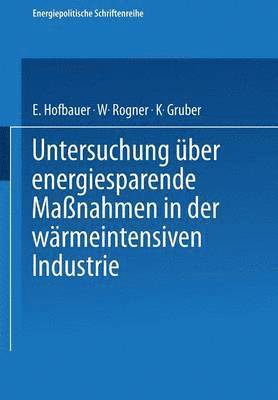 bokomslag Untersuchung ber energiesparende Manahmen in der wrmeintensiven Industrie