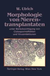 bokomslag Morphologie von Nierentransplantaten