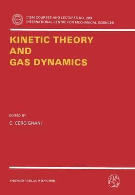 C. Cercignani - Kinetic Theory and Gas Dynamics, Häftad