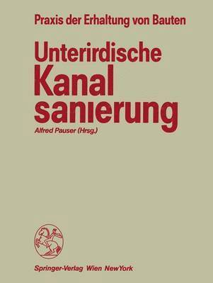 Unterirdische Kanalsanierung 1