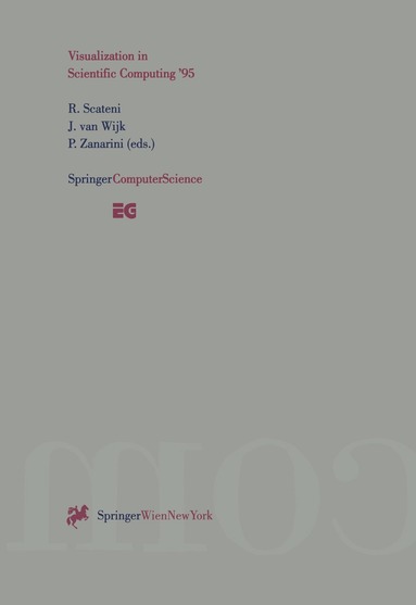 Riccardo Scateni, Jarke J.van Wijk, Pietro Zanarini - Visualization in Scientific Computing ’95, Häftad
