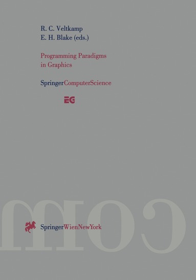 Remco C. Veltkamp, Edwin H. Blake - Programming Paradigms in Graphics, Häftad