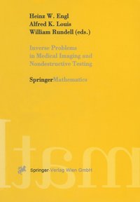 bokomslag Inverse Problems in Medical Imaging and Nondestructive Testing