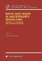 Whys and Hows in Uncertainty Modelling 1