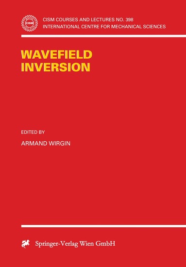 Armand Wirgin - Wavefield Inversion, Häftad