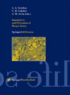 A. A. Gershon, Charles H. Calisher, Anne A. Gershon, Charles H. Calisher, Ann M. Arvin - Immunity to and Prevention of Herpes Zoster, Inbunden