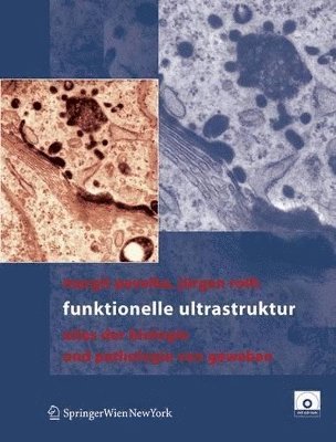 bokomslag Funktionelle Ultrastruktur