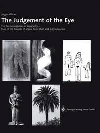 bokomslag The Judgement of the Eye
