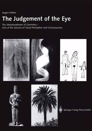 Jürgen Weber - Judgement of the Eye, Häftad