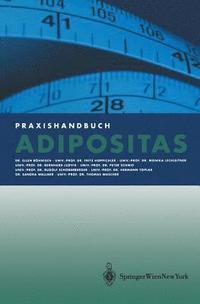 bokomslag Praxishandbuch Adipositas