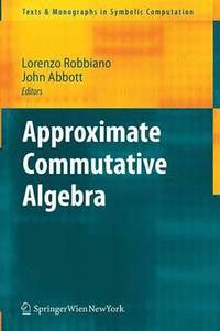 bokomslag Approximate Commutative Algebra