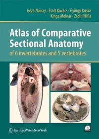 bokomslag Atlas of Comparative Sectional Anatomy of 6 invertebrates and 5 vertebrates