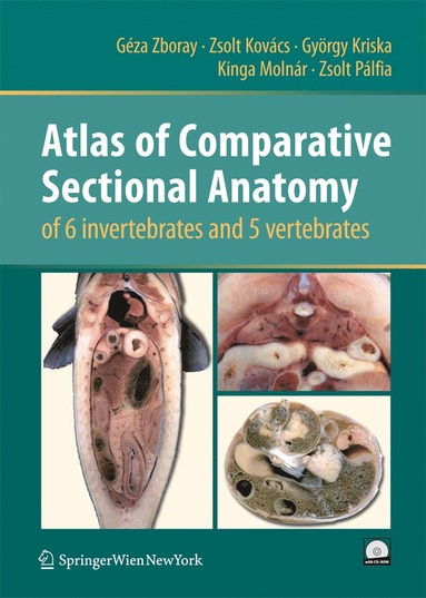 bokomslag Atlas of Comparative Sectional Anatomy of 6 invertebrates and 5 vertebrates