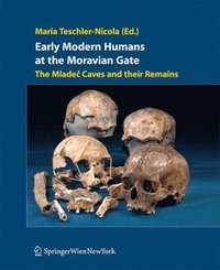 bokomslag Early Modern Humans at the Moravian Gate
