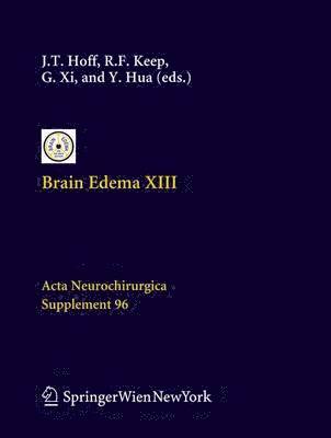 Julian T. Hoff, Richard F. Keep, Guohua Xi, Ya Hua - Brain Edema XIII, Häftad