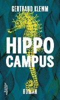 Hippocampus 1