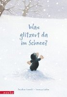 bokomslag Was glitzert da im Schnee?