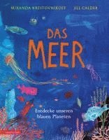 bokomslag Das Meer - Wichtige Themen: Artenvielfalt und Naturschutz in einem extragroßen Buch mit Neonfarbe auf dem Cover