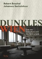 bokomslag Dunkles Wien