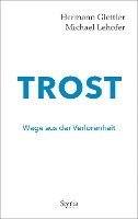 bokomslag Trost