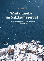 bokomslag Winterzauber im Salzkammergut