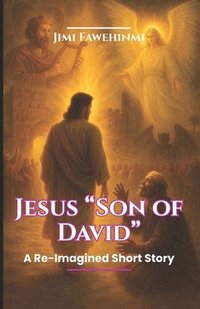 bokomslag Jesus "Son of David"