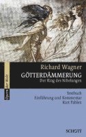 bokomslag Götterdämmerung