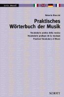 bokomslag Praktisches Worterbuch Der Musik